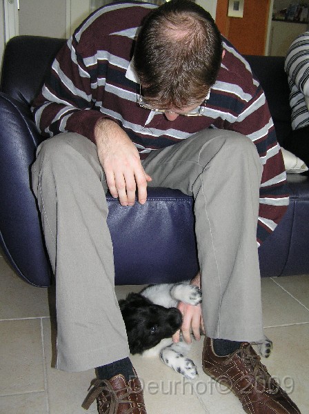 Onze Friese Stabij Pup - 103.JPG