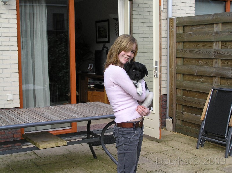 Onze Friese Stabij Pup - 98.JPG