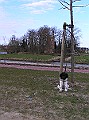Onze Friese Stabij Pup - 107