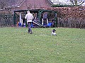 Onze Friese Stabij Pup - 113