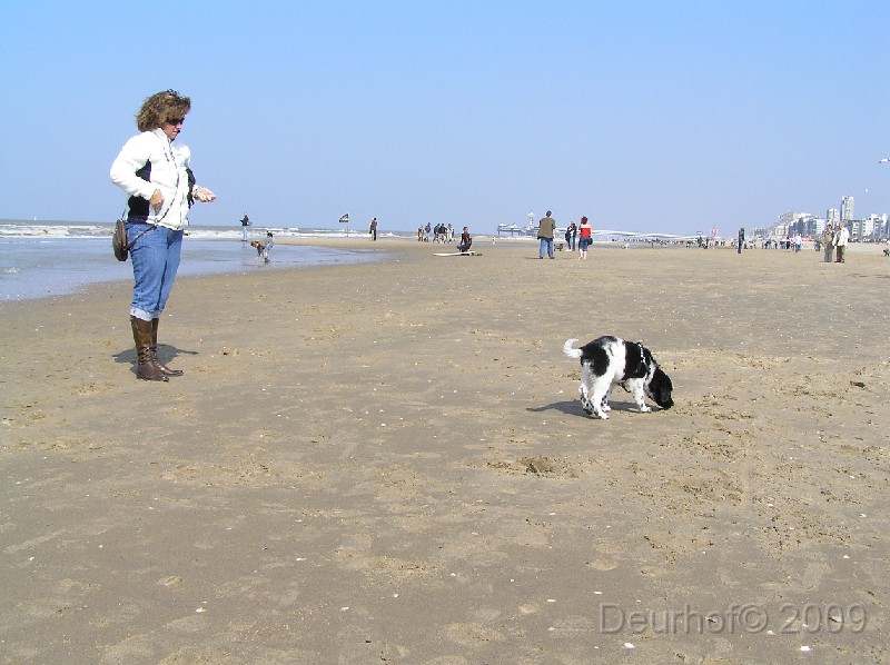 Onze Friese Stabij Pup - 145.JPG