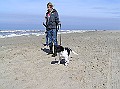 Onze Friese Stabij Pup - 195