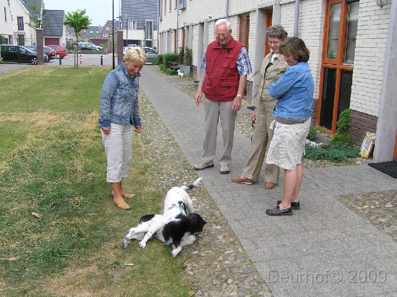 Onze Friese Stabij Pup - 256.JPG