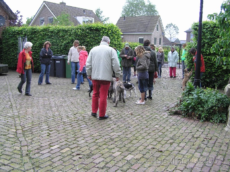 Onze Friese Stabij Pup - 261.JPG