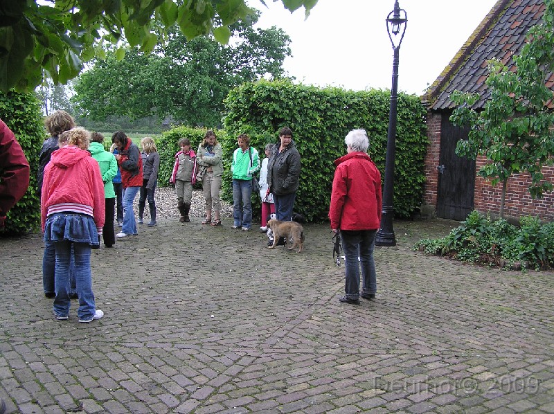 Onze Friese Stabij Pup - 263.JPG
