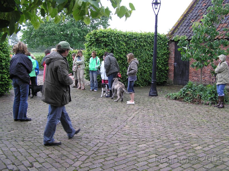 Onze Friese Stabij Pup - 264.JPG