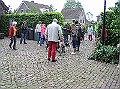 Onze Friese Stabij Pup - 261