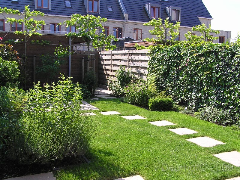 Onze Friese Stabij Pup - 270.JPG