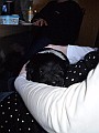 Onze Friese Stabij Pup - 06