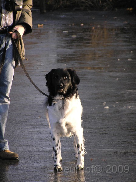 Jelle - 356.JPG