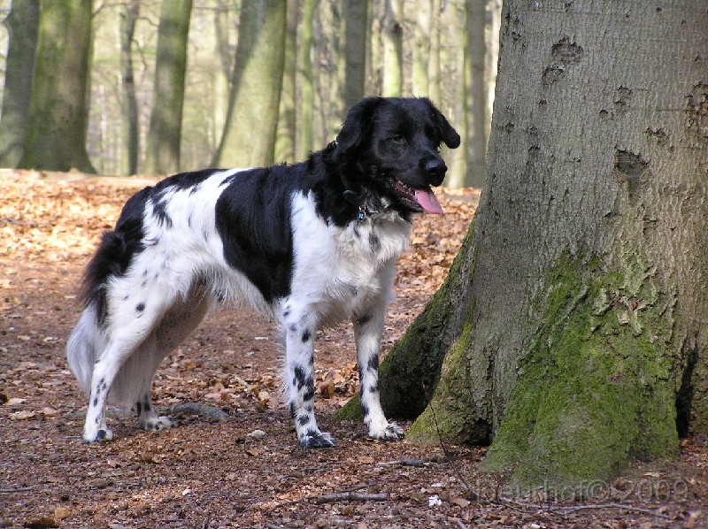 Jelle - 391.JPG