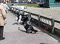 Jelle - 385