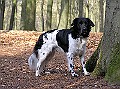 Jelle - 390