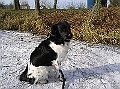 Jelle - 509