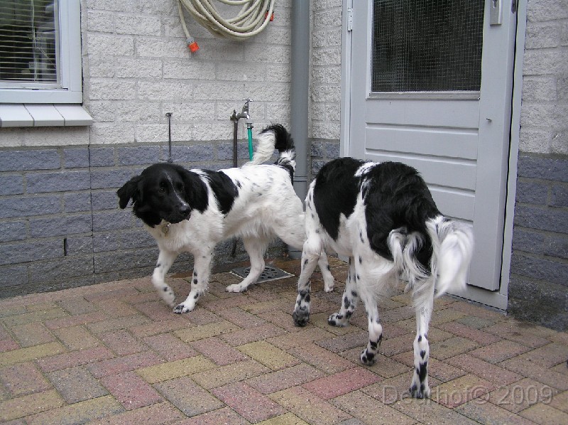 Jelle & Djura - 290.JPG