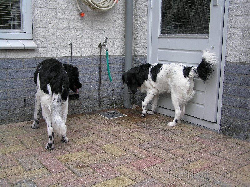 Jelle & Djura - 292.JPG
