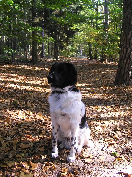 Jelle - 331.JPG