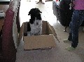 Jelle 15 maanden oud